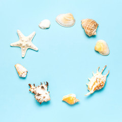 Summer concept, marine background. Frame of different seashells and starfish on pastel blue background. Top view, flat lay, copy space. Sea summer vacation background. Travel, marine souvenir