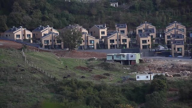 urbanization and housing projects