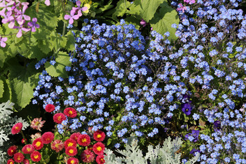 Various flowers on a bed in a city park
