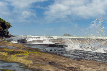 Muriwai Cliffs and Beach, West Coast of North Island of New Zealand
