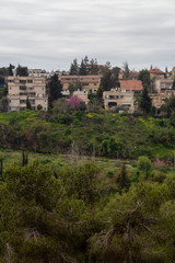Fototapeta na wymiar Beautiful view of residential homes on top of a hill in a city during a cloudy day. Taken in Jerusalem, Israel.
