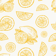Hand Drawn Lemon, Orange or Tangerine Harvest Vector Seamless Background Pattern. Citrus and Leaves Sketches Card or Cover Template