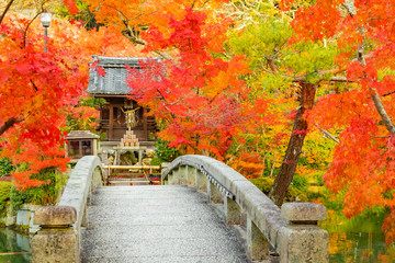 京都の紅葉　秋・観光