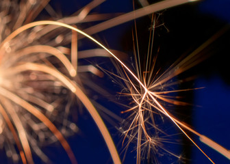 close up of a sparkler firework with a palm tree and blue sky background
