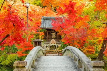 Keuken spatwand met foto 京都の紅葉　秋・観光 © JP trip landscape DL
