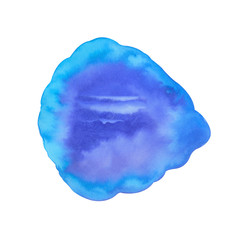 Shell form drawn with watercolor hand made on white background