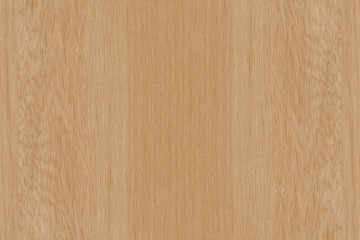 oak timber lumber tree wood wallpaper structure backdrop texture background