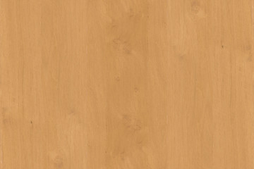 oak timber lumber tree wood wallpaper structure backdrop texture background