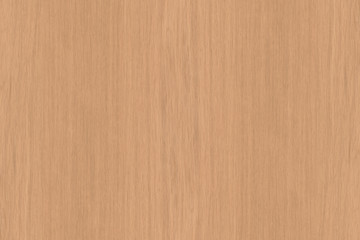 oak timber lumber tree wood wallpaper structure backdrop texture background