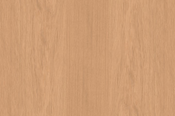 Naklejka premium oak timber lumber tree wood wallpaper structure backdrop texture background