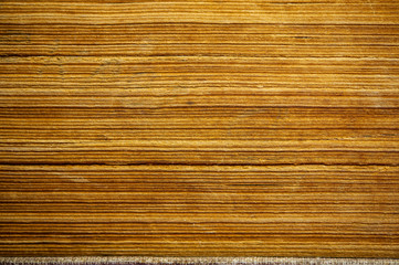 pages of an old closed book.