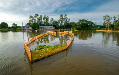 Obraz premium Viet Nam