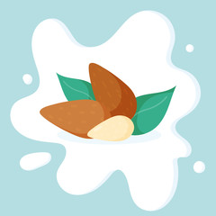 Almonds on white Milk splashing. Almond Icon or logo. Isolated nuts on background. Almond milk illustration, design elements, package design concept