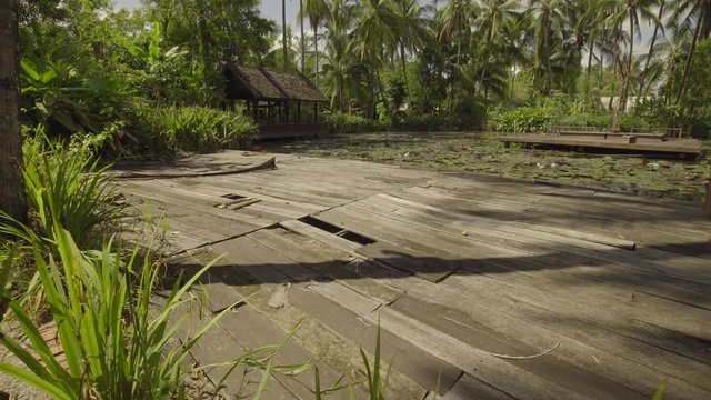 Static shot across tropical Laos scenery in rural island tropical palm trees. Well used wooden platform over calm still water with lily pads floating on the still surface. Wooden cabin in background.