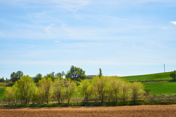 Landscape in spring with fields full of brown and green colors