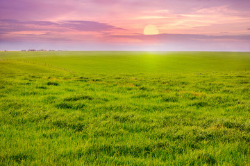 View of a field with green grass during a scenic sunset_