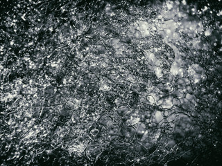 foam