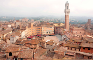 Fototapeta premium Focus on center of square with historical buildings of city Siena, Tuscany. Tile roofs and 14th century tower Torre del Mangia, Italy