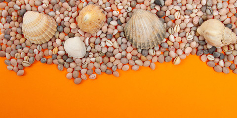 Fond coquillages et étoile de mer sur fond orange pour les vacances