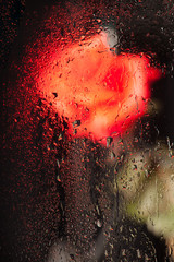 Rosa vista a través de un cristal lleno de gotas