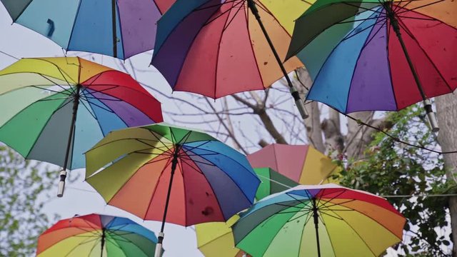 multicolored umbrellas hanging in street