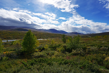 Fototapeta premium landscape in Otta at a sunny day in norway