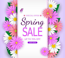 Spring Sale Banner background with beautiful colorful flowers are blooming. And use it as a banner or placard.And is used as an illustration or backdrop.