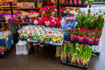 Hungary, Budapest, March 6, 2018, a flower shop in a European city