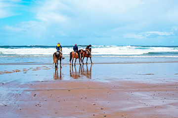 Fototapeta na wymiar Horse riding at Carapateira beach in the Algarve Portugal