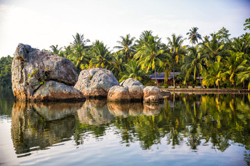 Fototapeta na wymiar Nature of Sri Lanka. Wild jungle and lake .