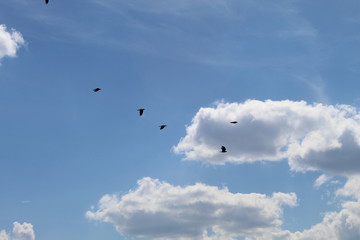 flying in the sky