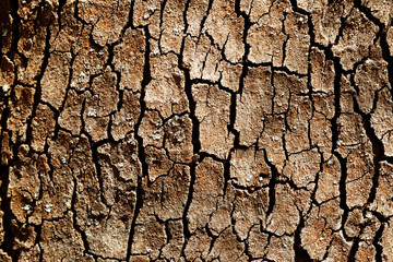 dry cracked earth backgrounds