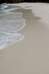 seychelles beach private island coconut