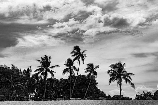 black and white photos, galangal, belitung, indonesia, 02 May 2019,