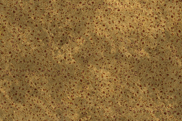 natural organic sponge structure texture background wallpaper