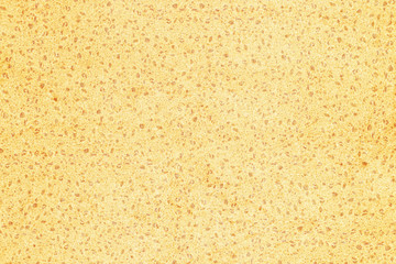 natural organic sponge structure texture background wallpaper