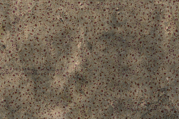 natural organic sponge structure texture background wallpaper