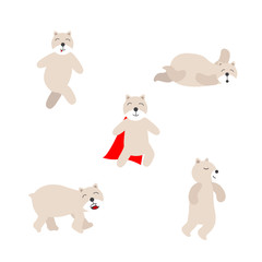 Set of Polar bear vector illustration. Bear on white background.