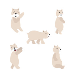 Set of Polar bear vector illustration. Bear on white background.