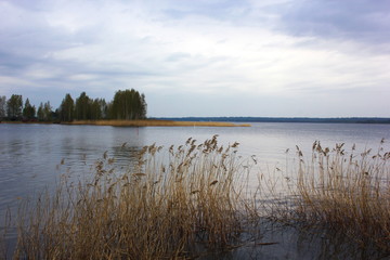 Lake at sunset summer day. Calm calm weather. Smooth water A small island can be seen in the distance. In the foreground, dry grass.