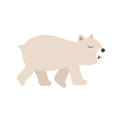 Polar bear vector illustration. Bear on white background.