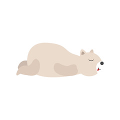 Polar bear vector illustration. Bear on white background.