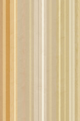 Obraz premium colored panel timber tree wooden wallpaper structure texture background high size