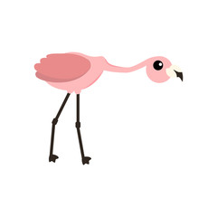 Pink flamingo vector illustration isolated on white background