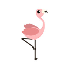 Pink flamingo vector illustration isolated on white background