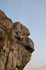 A detail of Roche Rock Cornwall