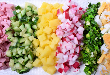 Boiled sausage, cucumber, potato, radish, greenery, and egg chopped into small pieces and laid into rows. Ingredients for making a meal