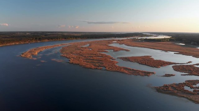 Aerial swamp on the river Lielupe in Varnukrogs - Golden Hour sunset top view from above - Drone shot with evergreen pine seaside forest visible in the background - Balta Kapa in European Latvia