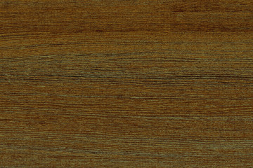 dark brown walnut timber tree wooden surface structure texture background