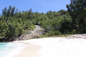 seychelles beach private island coconut